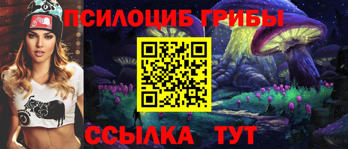 Псилоцибиновые грибы Psilocybe  Вход с VPN  где найти наркотики  Урай  Псилоцибиновые грибы мицелий 